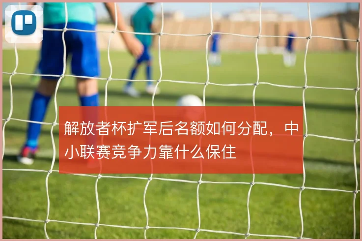 解放者杯扩军后名额如何分配，中小联赛竞争力靠什么保住